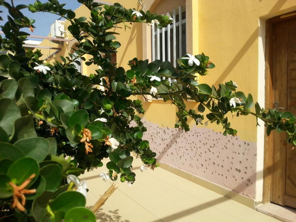Darna Village Beach Hostel Al Burj Bagian luar foto