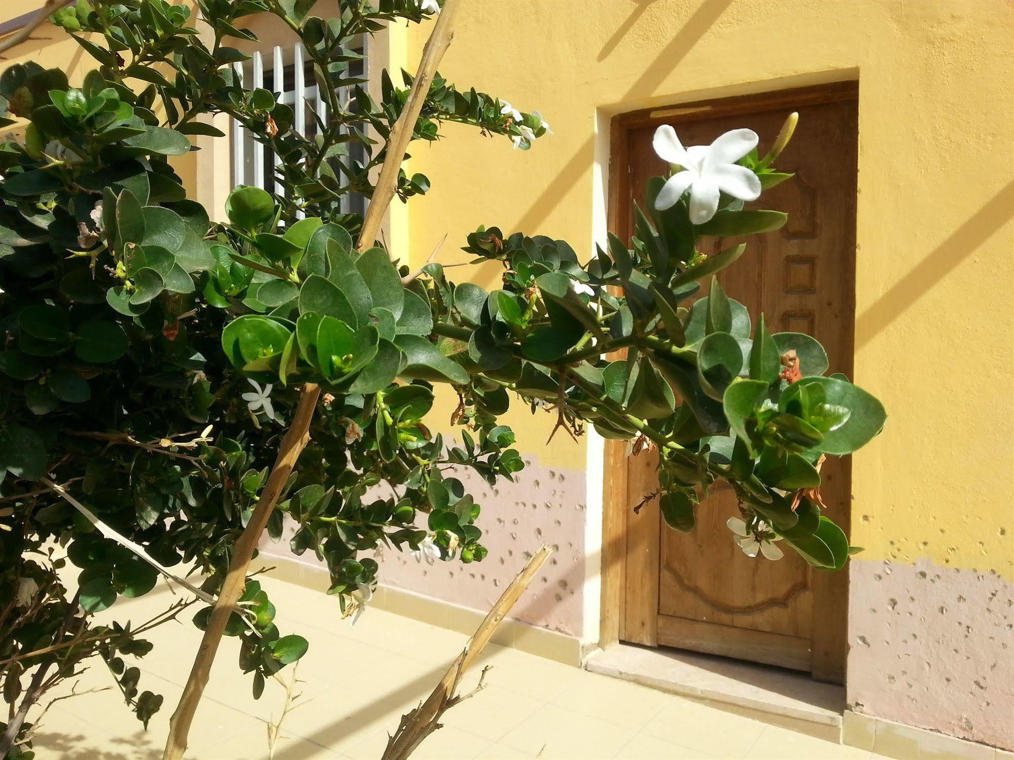 Darna Village Beach Hostel Al Burj Bagian luar foto