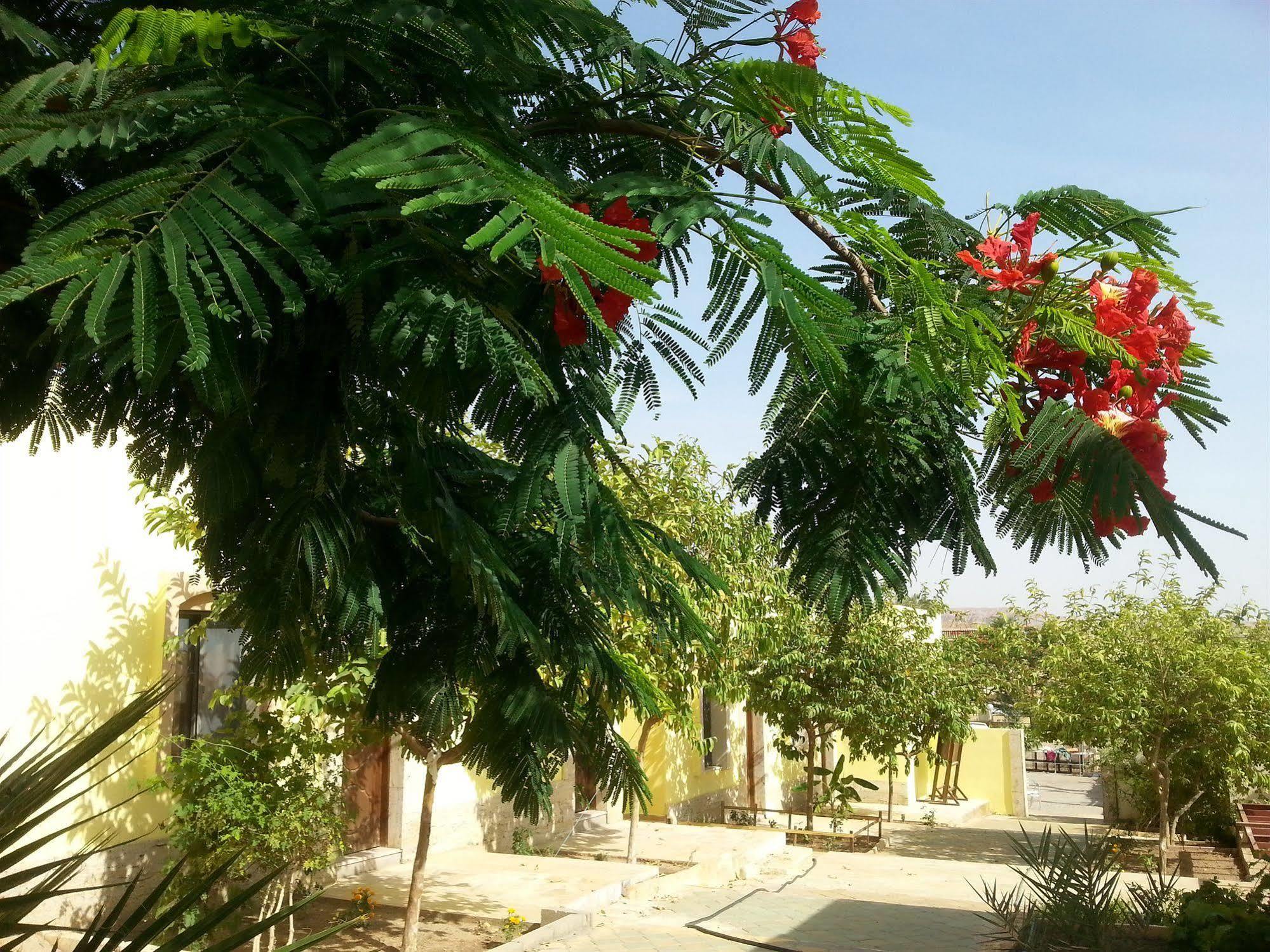 Darna Village Beach Hostel Al Burj Bagian luar foto